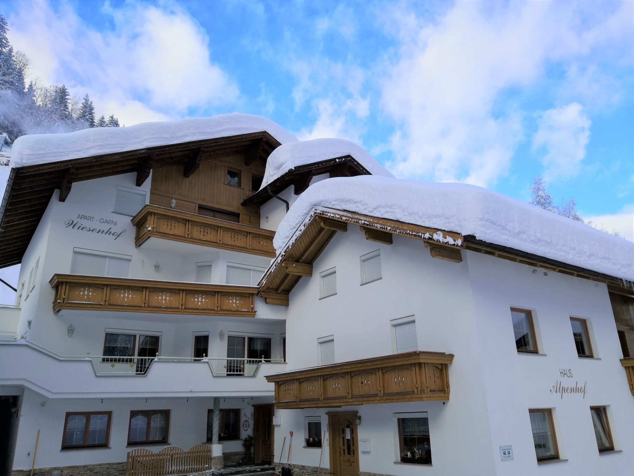 Appartementhaus Alpenhof: Hauptansicht