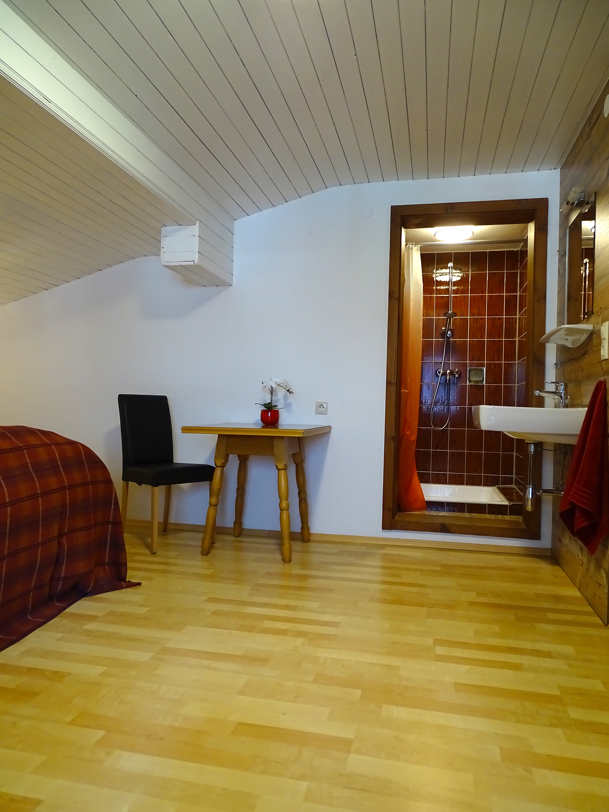 Appartementhaus Mayrhofen: Doppelzimmer mit eigener Dusche