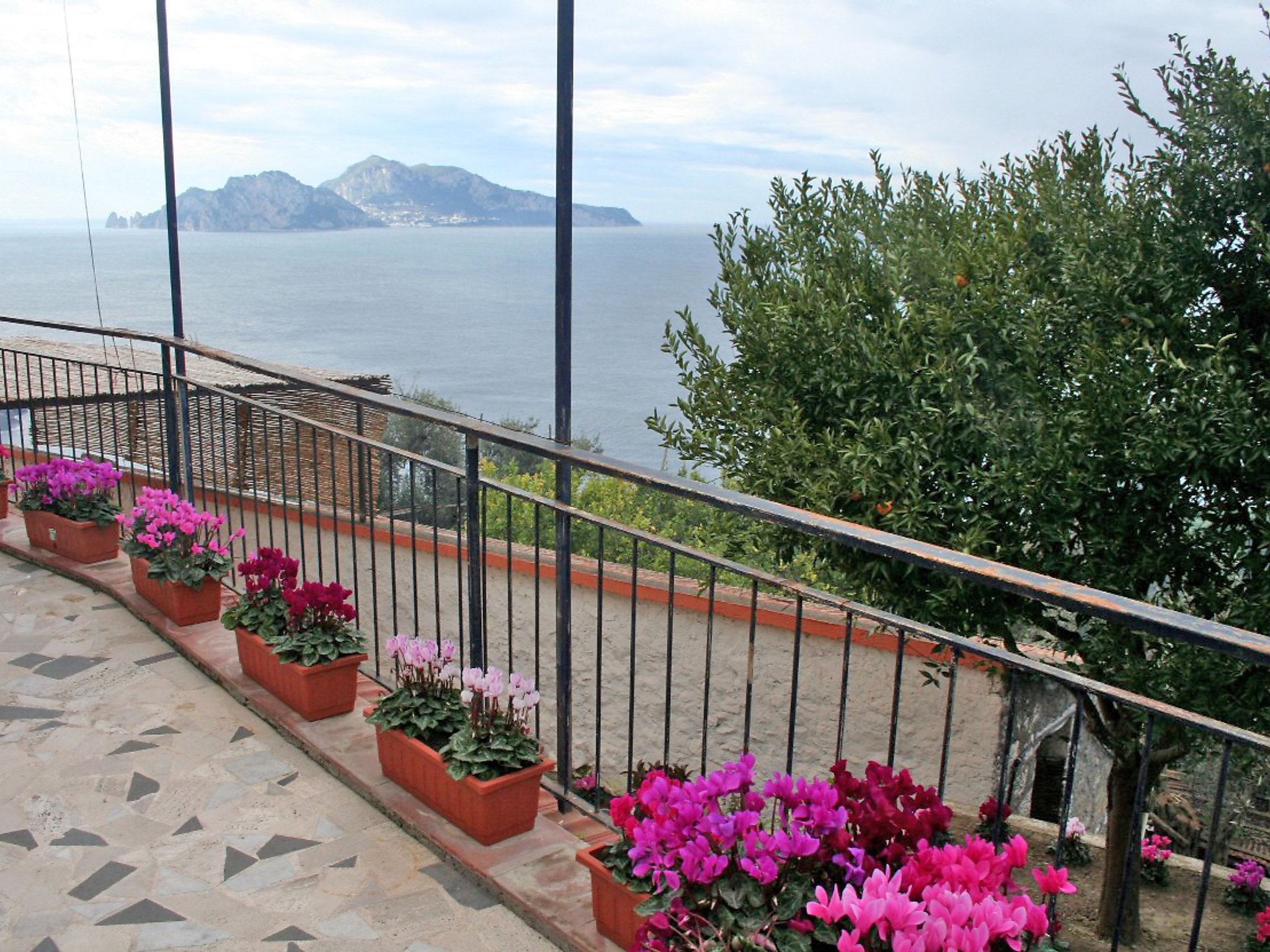 Appartementhaus Don Luigino - Capri view: Außenansicht Nr. 1